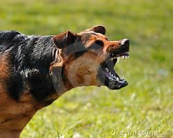 angry